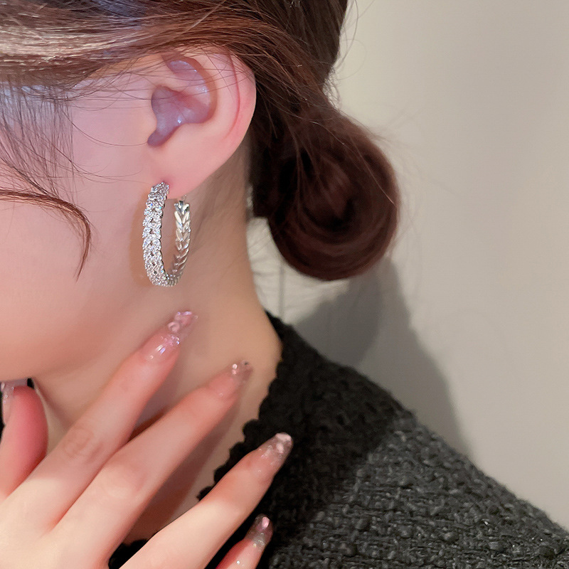 Fashion Circle Copper Inlay Zircon Earrings 1 Pair