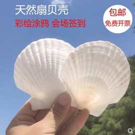 I9AT天然大贝壳白色扇贝壳彩绘画画涂鸦贝壳diy小贝壳烧烤用扇贝