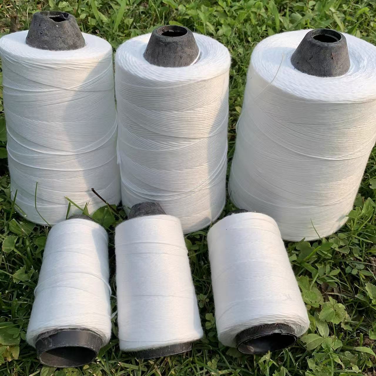 微信图片_20250904091521_472_138