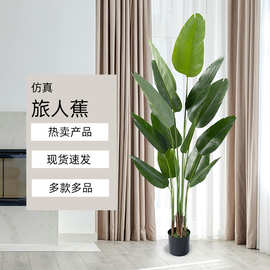 北欧风仿生旅人蕉绿植盆栽大型户外造景配材人造天堂鸟仿真树