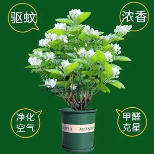 �ذ��������Ԏ������҃ȾGֲ��������x�ļ��_�����B�͏d����