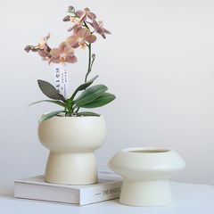 简约陶瓷花盆家用北欧ins奶油风轻奢蝴蝶兰梦香兰多肉绿植盆景盆