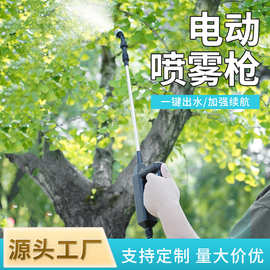 跨境新款电动喷雾器园艺喷雾枪小型喷雾器家用消毒浇花锂电水枪