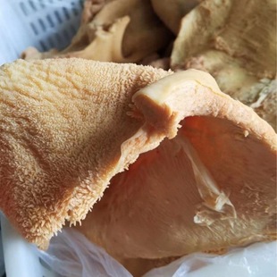 ����ţ���uţ����ţ�ǾƵ�����ţ����ʳ������ţ���u�˵�����ţ��