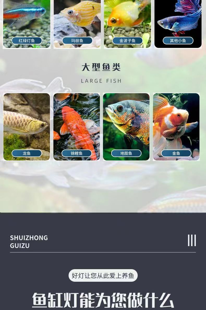 829ff4f9-e391-4cb6-9850-9f5f0df14ee5.jpe