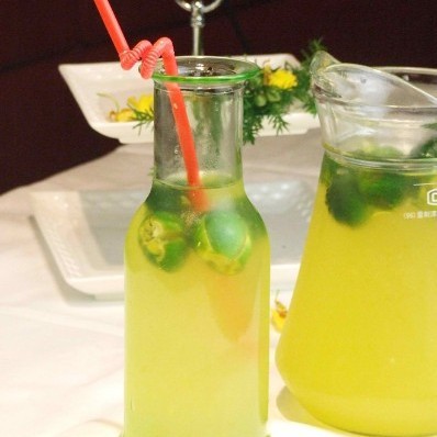 玻璃冰桔泡茶玻璃瓶 观山饮料瓶 冷泡茶瓶350* 500ml