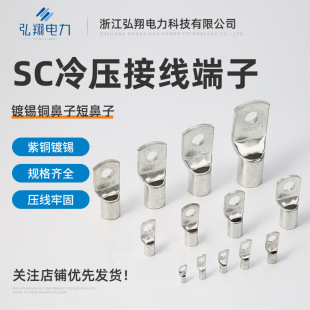Factory Direct Supply Sc Cold-Pressed Terminal Block Tinned Short Nose Peeped Tinned Copper Nose