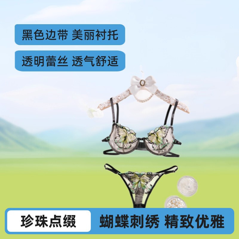 Cross-Border Black Background Butterfly Embroidery Mesh Lingerie Set European and American Style Spaghetti Strap Bra and Thong Two-Piece