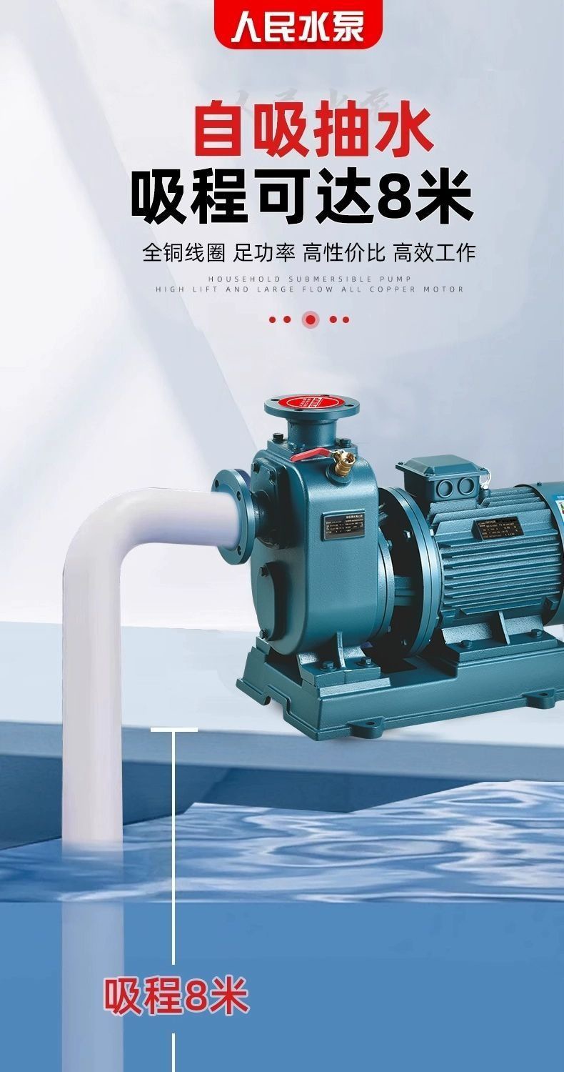 Bz Self-Priming Pump Zw Non-Clogging Sewage Pump Horizontal Pipeline Centrifugal Pump Large Flow Booster 380V Three-Phase Sewage Pump