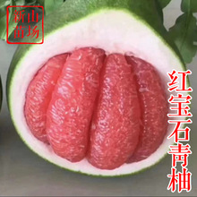 葡萄柚苗 新品种美国台湾无核无籽红肉黄肉鸡尾葡萄柚西柚子树苗