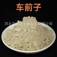 车前子粉正品中药粉专业中药材超微粉加工中药配方磨粉超低温磨粉