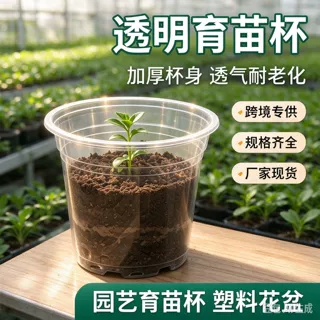 跨境蝴蝶兰兰花植物种植透明育苗杯装土塑料花盆育苗盆加厚营养钵