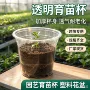 加厚跨境种植植物育苗盆