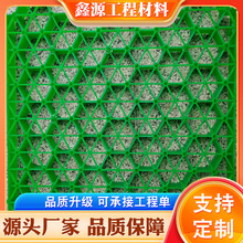 塑料植草格用于停车场消防通道园林绿化护坡草坪格花口平口植草格