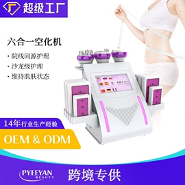 电子美容仪;面罩美容仪;其他美体瘦身