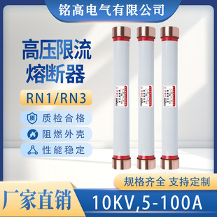 RN1��RN3��-10KV/5A�߉��۔��������۔����۹�5a-50a55*410mm����