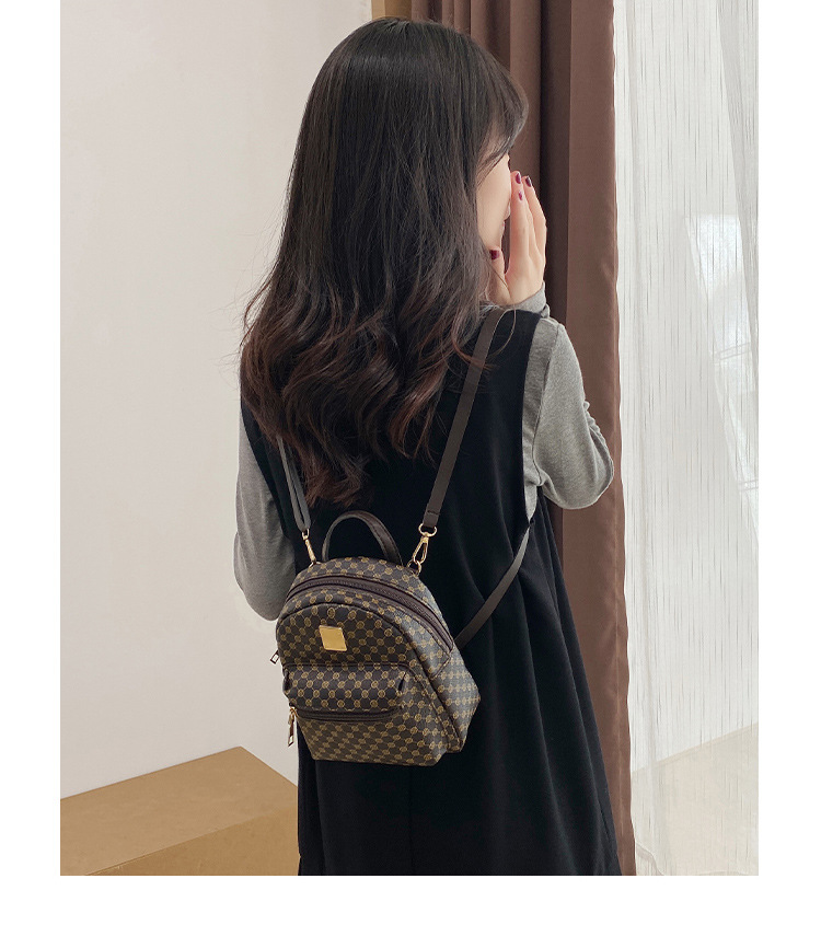 Foreign Trade Wholesale Backpack Women's Small Size  New Bags Fashion Minority Design Bag Women's Single-shoulder Bag display picture 20