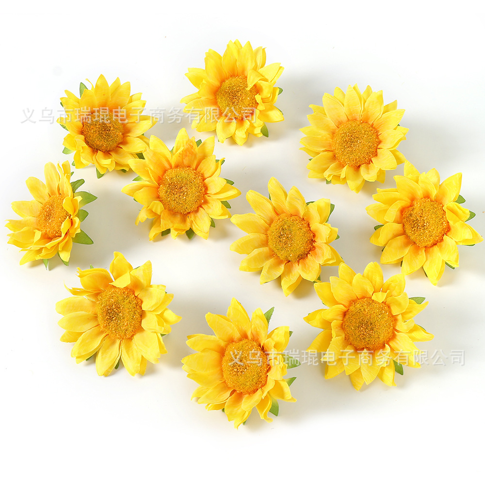 해바라기