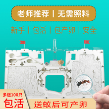 Λρ�Ǳ�����������Λρ���B����ρ��W���^�췱ֳ��ρ���C����