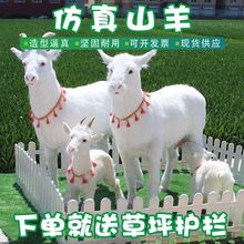 母嬰店羊模型羊肉店仿真動物山羊毛動物標本擺件羊裝飾工藝品