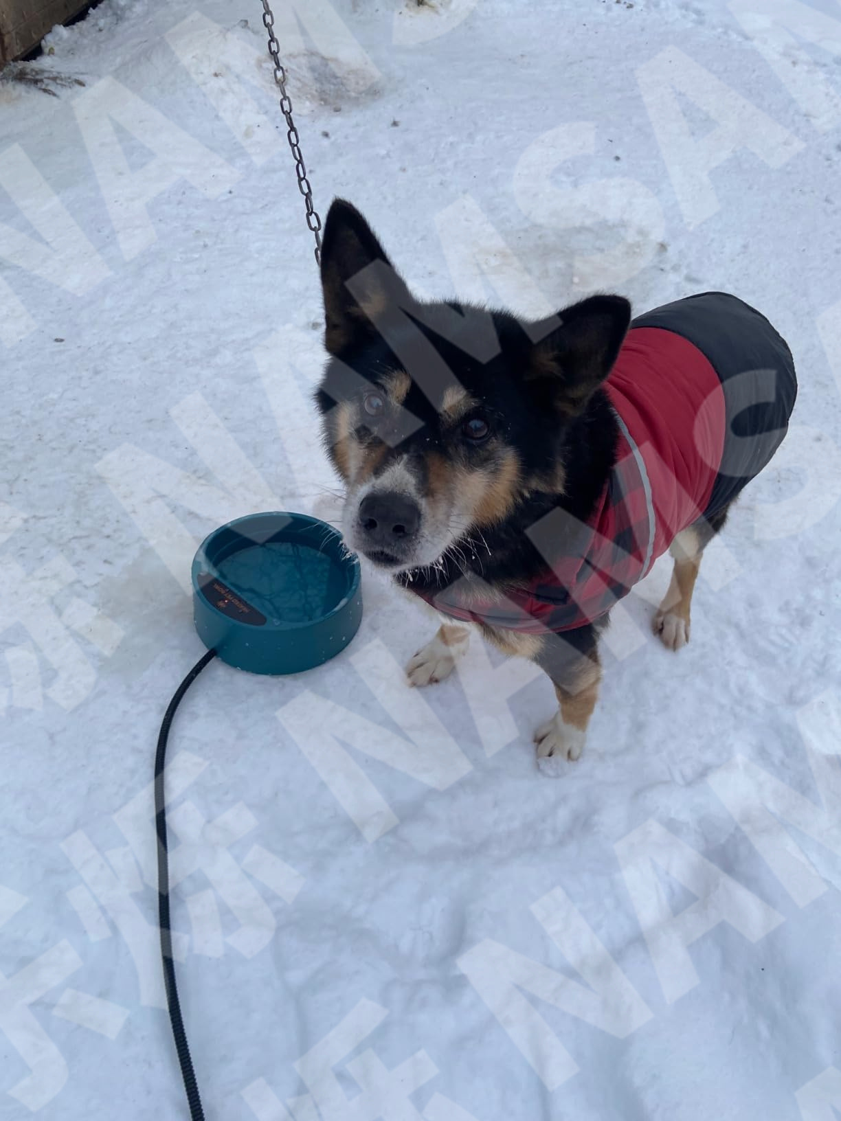 undefined