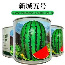 пïA³̖sϷNɳĮɰϽ̖ʯpʯ^ϷN