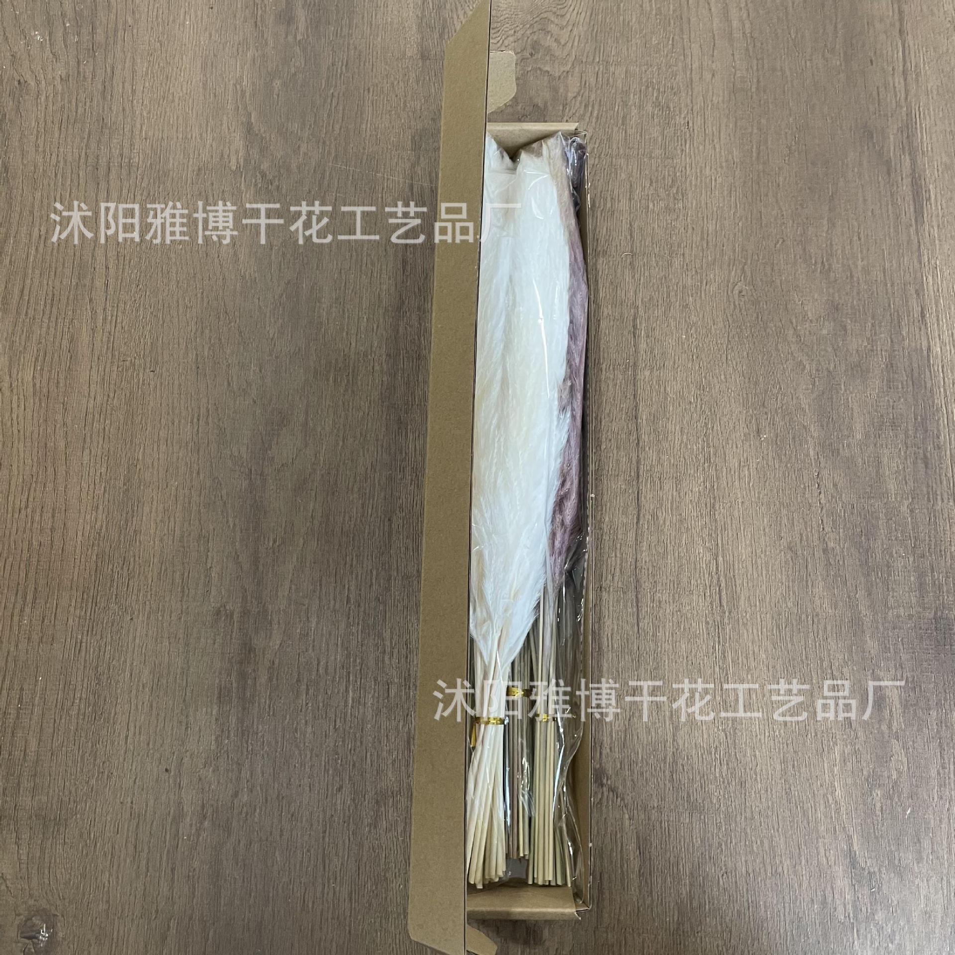 2021_10_29_15_55_IMG_7620