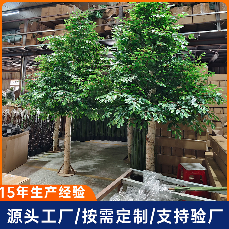 Simulación de abedul blanco Proyecto de paisajismo al aire libre Paisajismo FRP artificial Simulación de abedul blanco Árbol decorativo