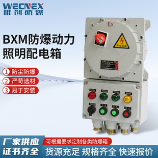 BXM(D) explosion-proof power lighting distribution box explosion-proof maintenance power socket box explosion-proof junction box