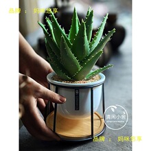 �J�C�k�����҃�����Gֲ���B�����·�����ȩ���ܷ�ݗ��С����ֲ��