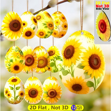 12��ɫ���r�G��ľ�|���յ��Ғ��b� �m���ͥԺ �Ɍ�����b���