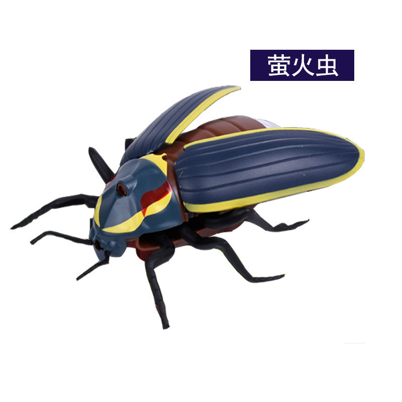 萤火虫