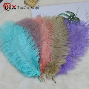 ���Sֱ�N���l30-35cm�Ϸ��M���r�Bë ���l��c�ݳ��r�B��ë
