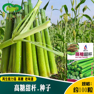 ������U�����N�� �r����طNֲ�����֭��Ʒ�N��U���׷Nֲ