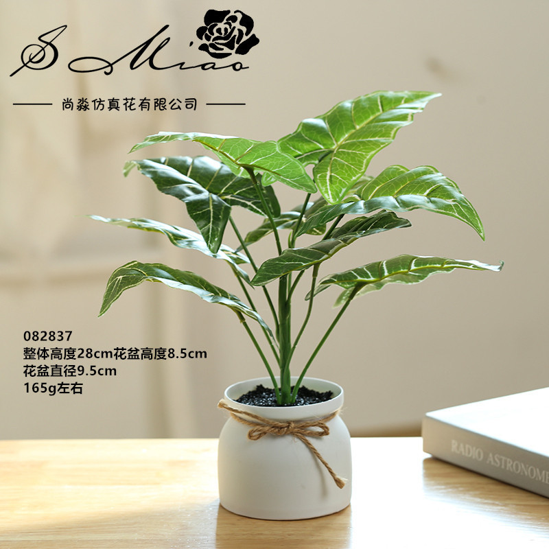 Cielo azul verde planta 082837 ☆