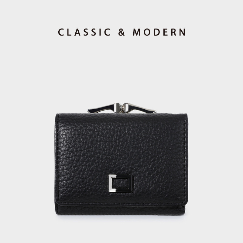 Versatile Magnetic Compact Clasp Purse