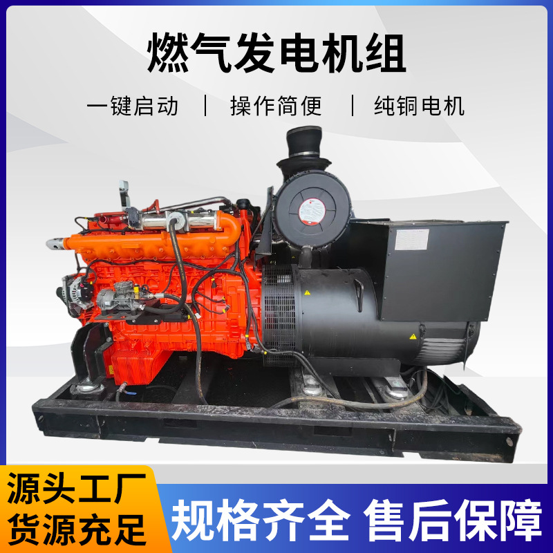 燃气发电机组 低噪音大功率全铜无刷电机沼气天燃气发电机组批发