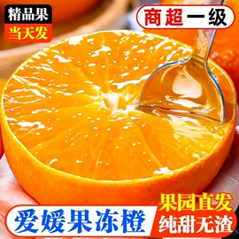 西式糕点;饼干;膨化