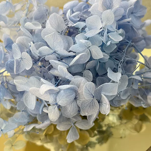 Bulk without long rods light blue 20g