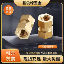 厂家供应六角铜螺母 非标铜螺母 铜嵌件 注塑铜螺母
