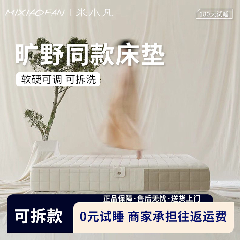 Wilderness Mattress Simmons 0 Glue Removable Independent Spring Silicone Sponge Washable Moderate Hard and Soft Household