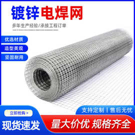 钢丝网电焊网厂家建筑工地内外墙面抹灰防裂焊接镀锌电焊网铁丝网