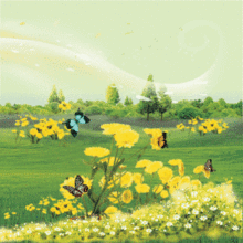 �� �ƹ�ſ�Ƭ��3D׃���N���������S���w���ƣ�PET���Ƭ��ӡˢ�S