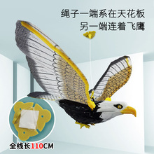 仿真吊线飞鹰发声音发光音乐动物老鹰儿童拉线鸟类玩具
