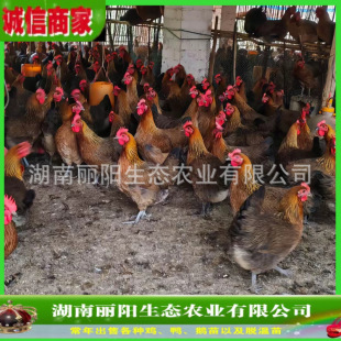 ������Ʒ�ڬ��u����w������_�u���F�ݱ������u���u�rԴ�^��ֱ�l