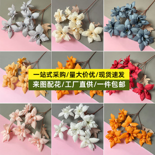 �S��ֱ�N���^Ϧ��滨��c�¿ˇ�����ٻ����u��Y�F���b�