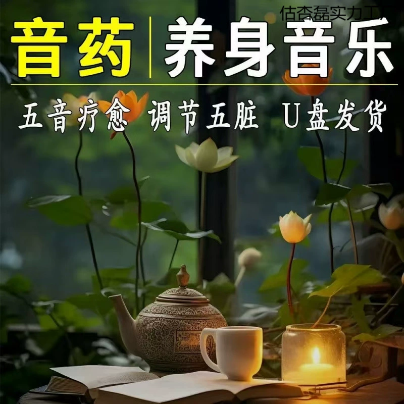 USB-накопитель для медитации и wellness, безlossный высокий звуковой качества Guoyue Wuyin Master Beauty Salon Tea Room Успокаивающий и расслабляющий USB