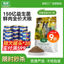 ZlȫȮͨȮZɻόﹷZȮüZȮጣ40