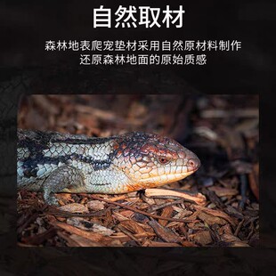 ɼľм�ɘ�Ƥɭ�ֵر������|���،m�����߽�������|�ĳ�������