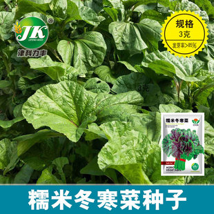 Դ�^�S�����lŴ�׶����˷N���Ĵ����{�˷N�Ѵ����＾�ļ��߲˷N��